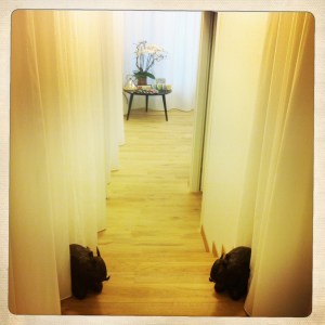 La Bulle de Vero  - Taoban 3