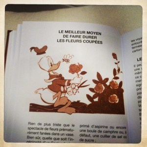 La bulle de Vero - le guide des castors junior 5