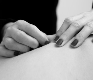 MAINS-MDR-NETB-13x15-2