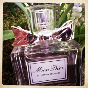 La bulle de Vero - Dior 4