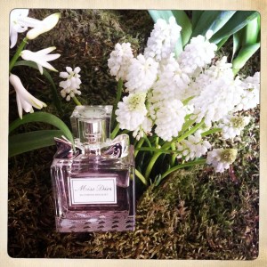 La bulle de Vero - Dior  7