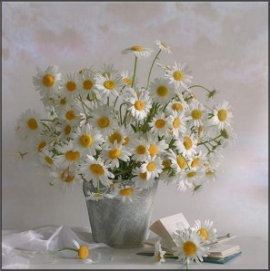 La bulle de Vero - Fleurs 2