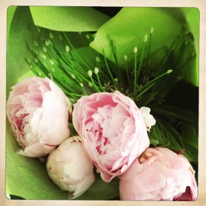 La bulle de Vero - fleurs