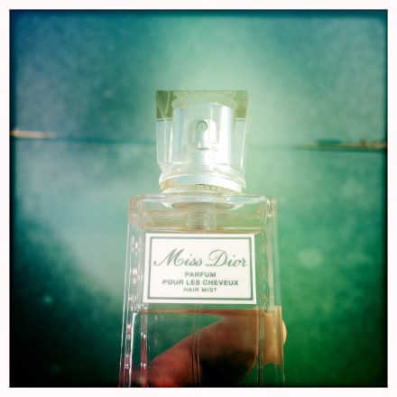 La bulle de Vero - Dior 4