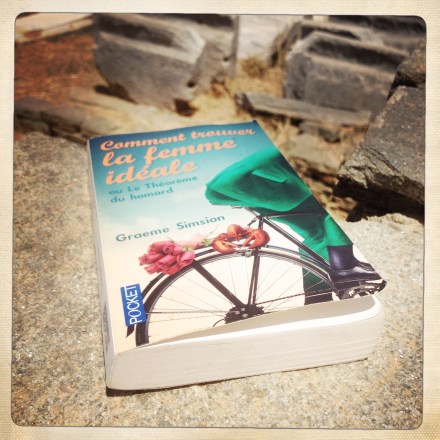 La bulle de Vero - Comment trouver la femme idéale...