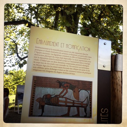 La bulle de Vero - Jarin botanique (4)