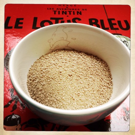 La bulle de Vero - Tintin (4)