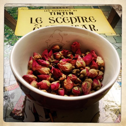 La bulle de Vero - Tintin (5)