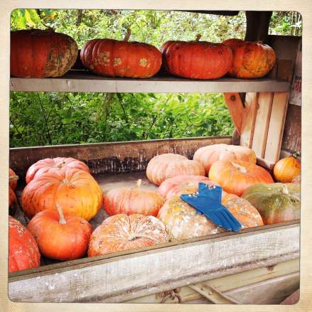 Labulledevero - Hermes (6)