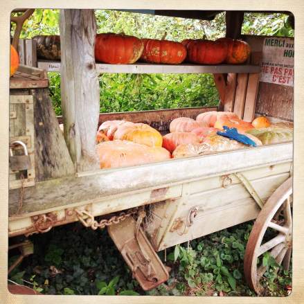 Labulledevero - Hermes (7)