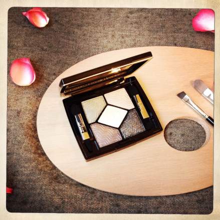 La bulle de Vero - Dior (3)