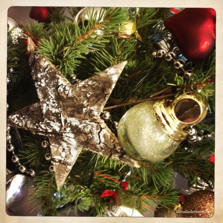 La bulle de Vero- Dior (2)