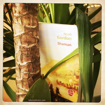 La bulle de Vero - Shaman (2)