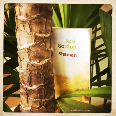 La bulle de Vero - Shaman