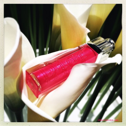 La bulle de Vero - Dior (3)