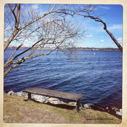 La bulle de Vero - J (17)