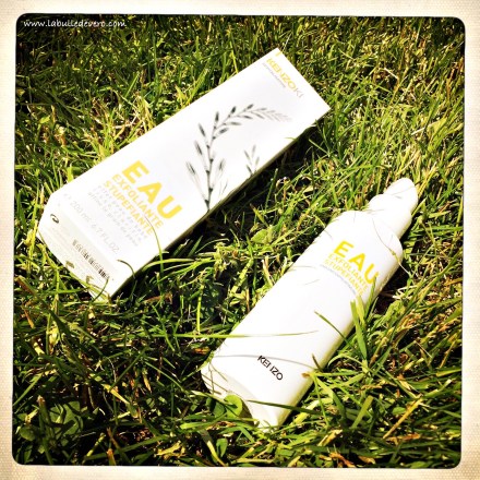 La bulle de Vero - Kenzoki (4)