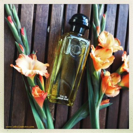 La bulle de Vero - Hermes (4)