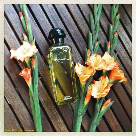 La bulle de Vero - Hermes