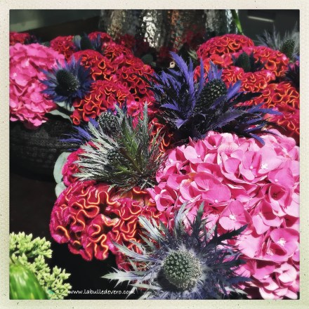 La bulle de Vero - Wuillemin. (11)