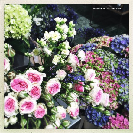 La bulle de Vero - Wuillemin. (13)