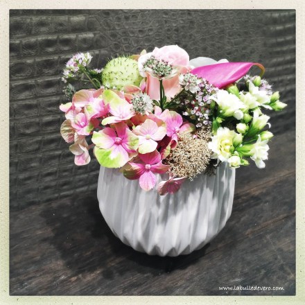 La bulle de Vero - Wuillemin. (6)