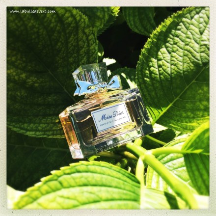 La Bulle de Vero - Dior (2)