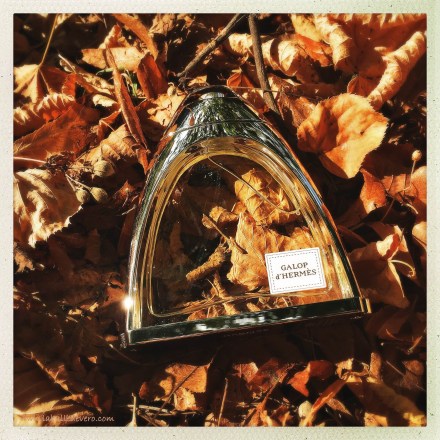 la-bulle-de-vero-hermes-3