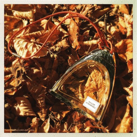 la-bulle-de-vero-hermes-4