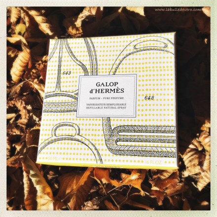 la-bulle-de-vero-hermes