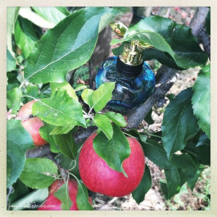 la-bulle-de-vero-nina-ricci-2