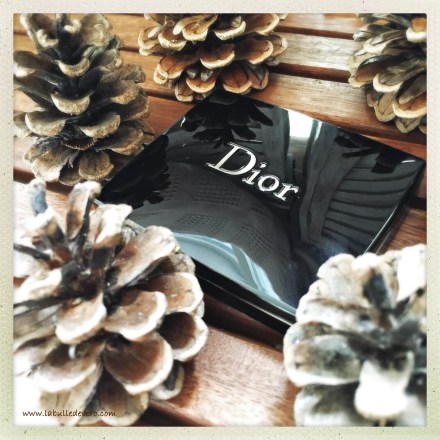 la-bulle-de-vero-dior-2