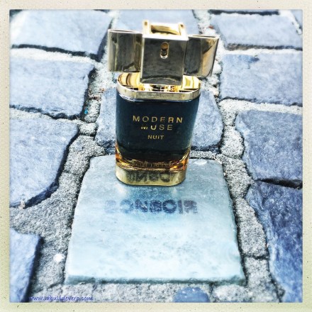 la-bulle-de-vero-estee-lauder-2