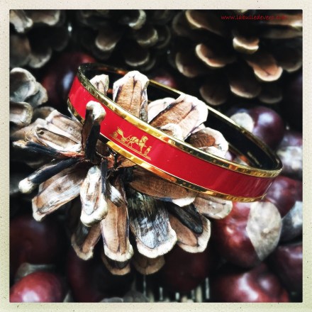 la-bulle-de-vero-hermes-2