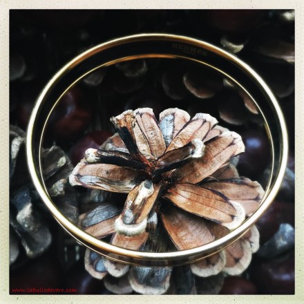 la-bulle-de-vero-hermes-6