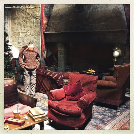 la-bulle-de-vero-harry-potter-10