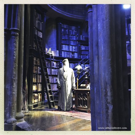 la-bulle-de-vero-harry-potter-13