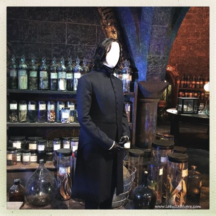 la-bulle-de-vero-harry-potter-16