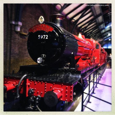 la-bulle-de-vero-harry-potter-20