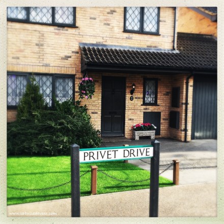 la-bulle-de-vero-harry-potter-24