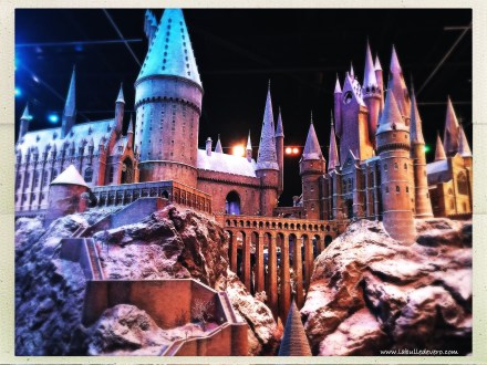 la-bulle-de-vero-harry-potter-29