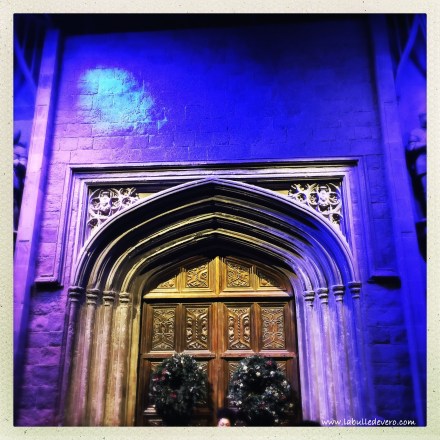 la-bulle-de-vero-harry-potter-3