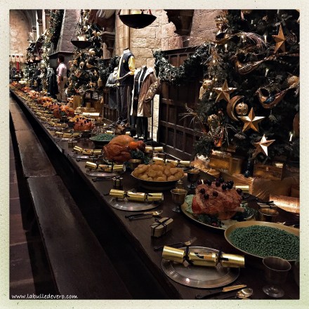 la-bulle-de-vero-harry-potter-4