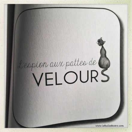 la-bulle-de-vero-livre-3