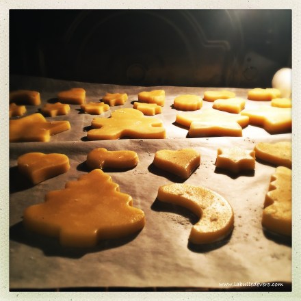 la-bulle-de-vero-biscuit-5