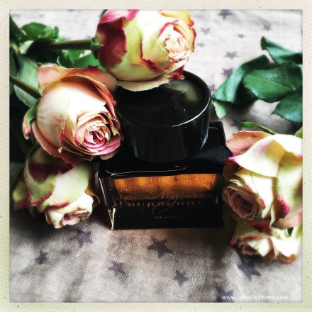 la-bulle-de-vero-burberry-2