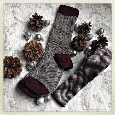 la-bulle-de-vero-collegien-3