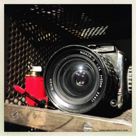 la-bulle-de-vero-dior-3