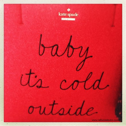 la-bulle-de-vero-kate-spade